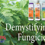 Demystifying Fungicide