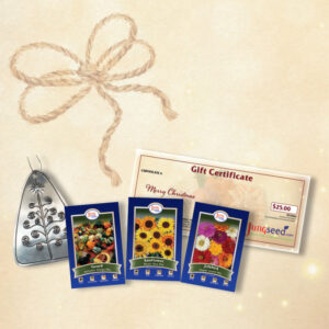 Christmas tin ornament, three packets of seeds, and gift certificate