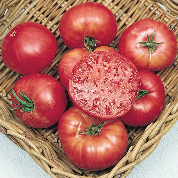 Tomatoes in a wicker basket