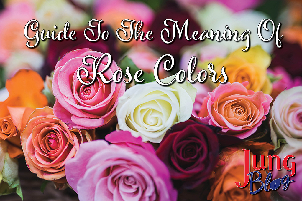 Guide To The Meaning Of Rose Colors