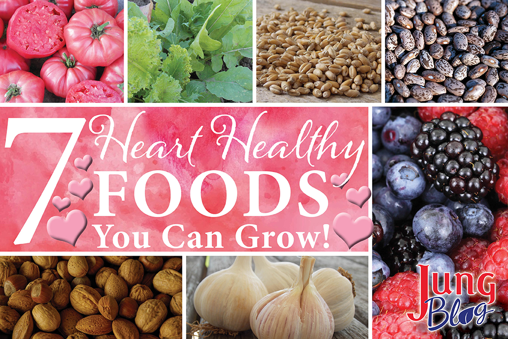 7 Heart Healthy Foods