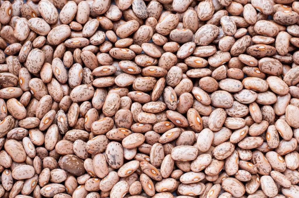 Brown Pinto Beans