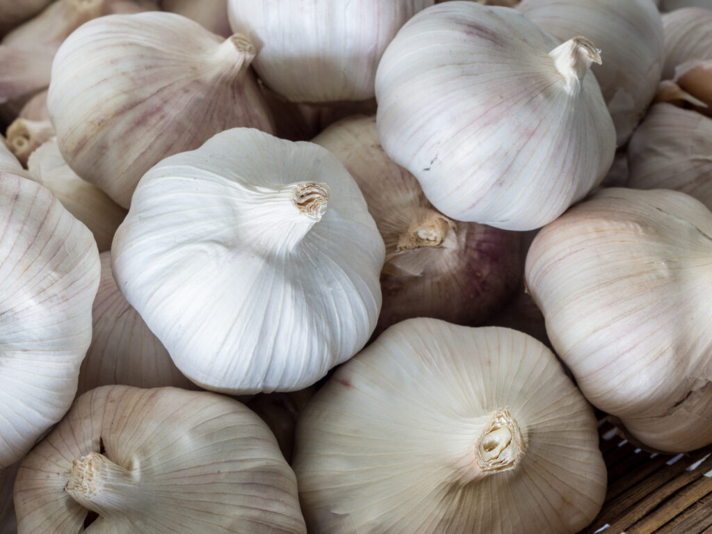 A pile of white garlic