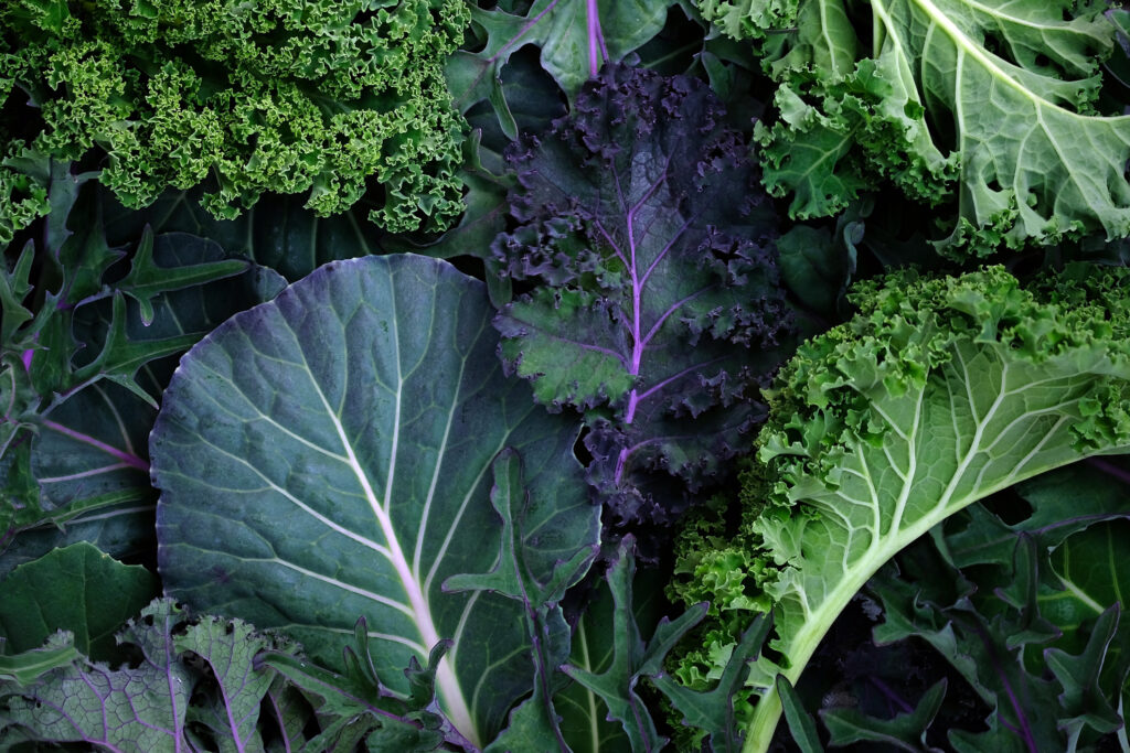 Kale leaves of different sizes and colors close-up.