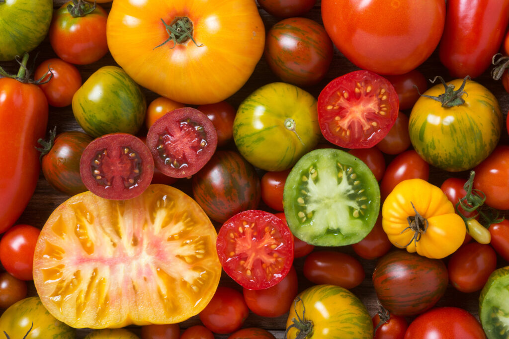 Close up of colourful tomatoes, some sliced, shot from above