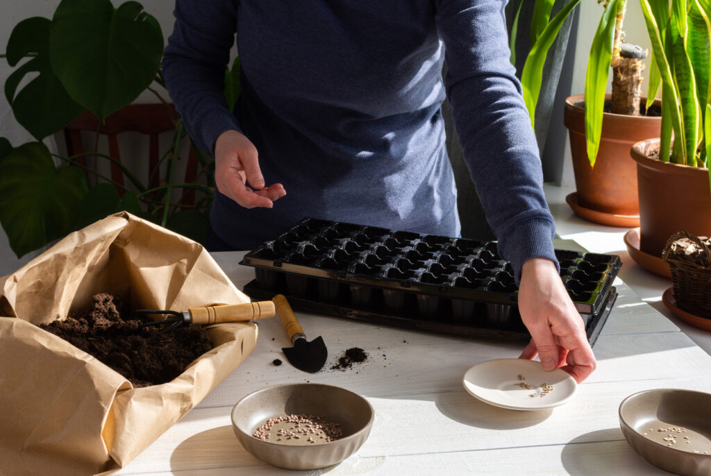 Plastic form for planting seeds on wooden background, paper bag with ground and garden trowel and rakes, tomato and radish seeds for planting, a woman is planting seedlings at home