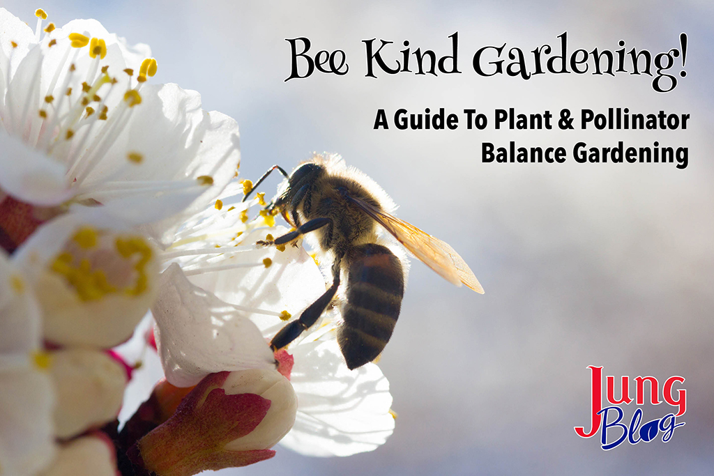 Bee Kind Gardening – A Guide To Plant & Pollinator Balance
