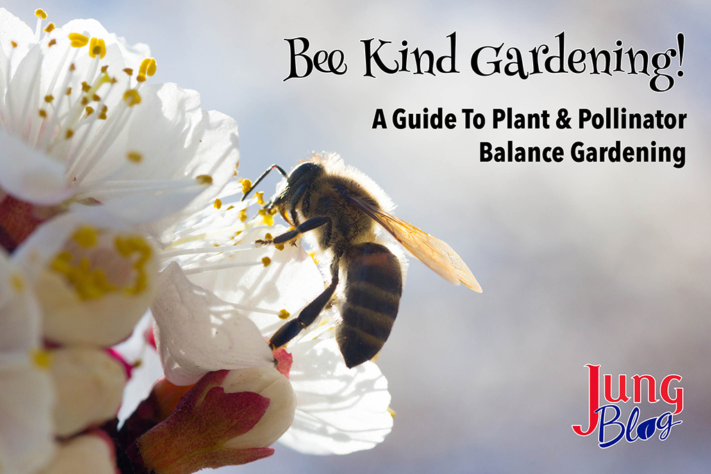 Bee Kind Gardening