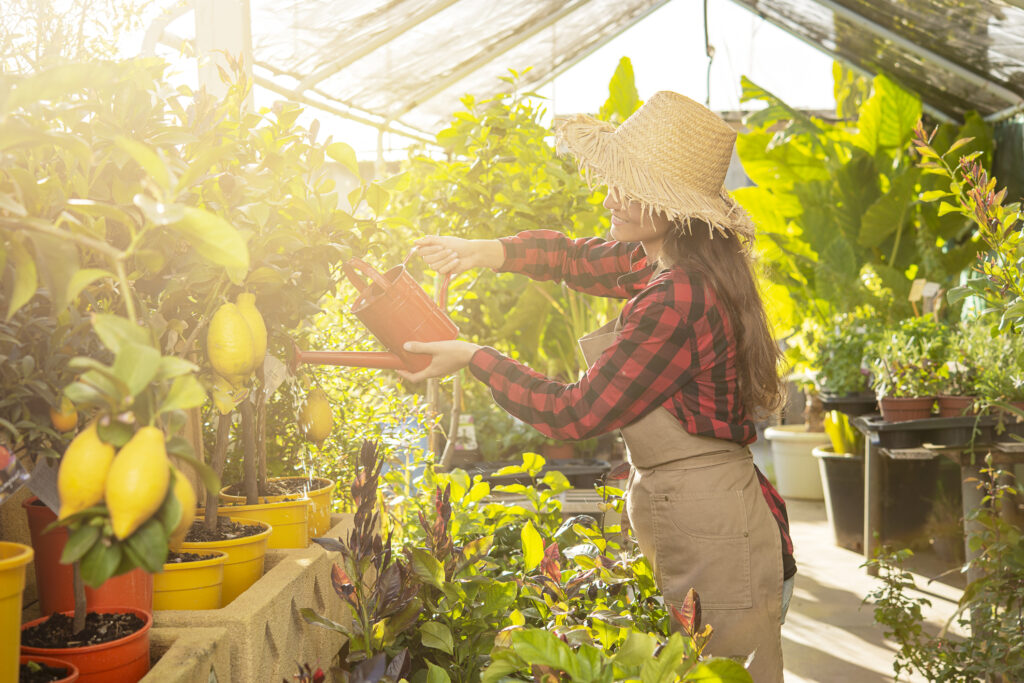 young woman gardener waters the plants in a greenhouse