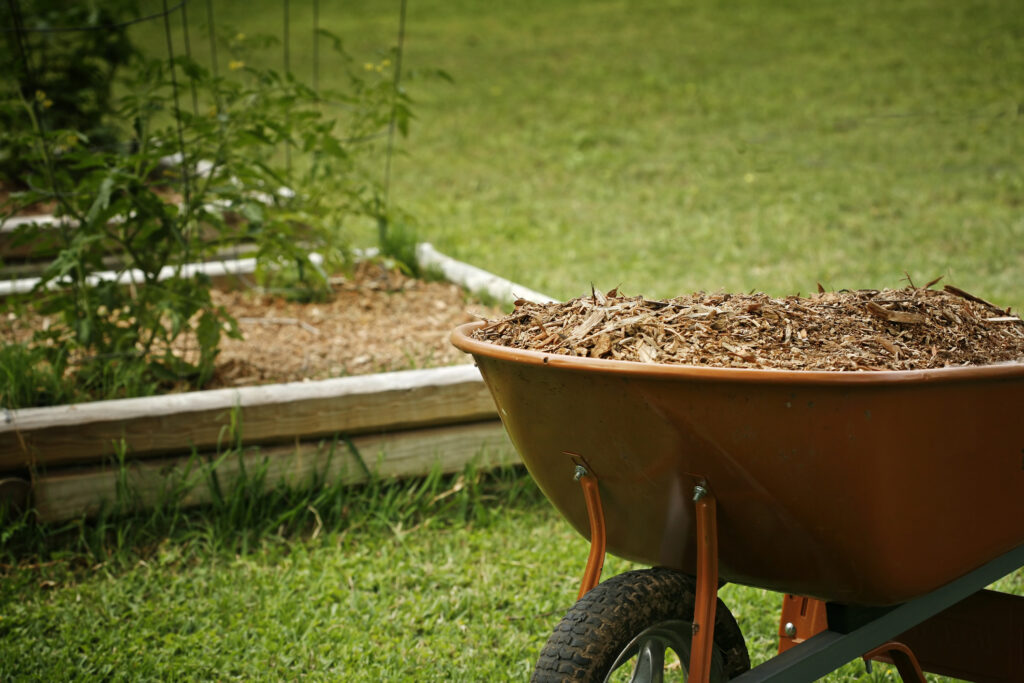 Mulch for garden with tomato plans bed on background