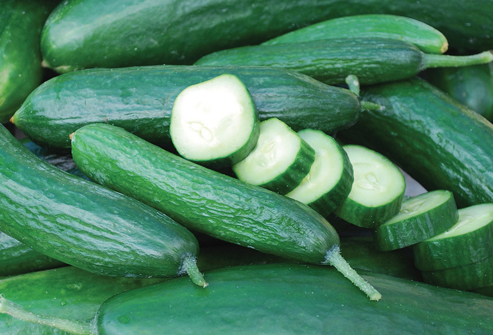 cucumbers whole and slices