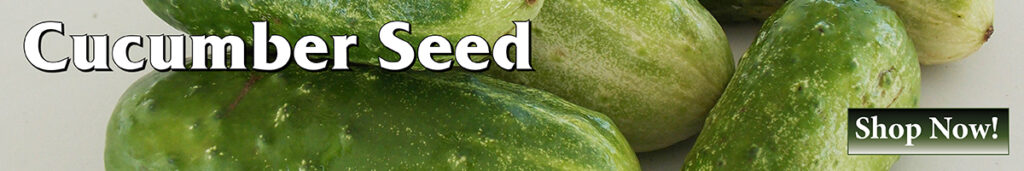 cucumber seed ad