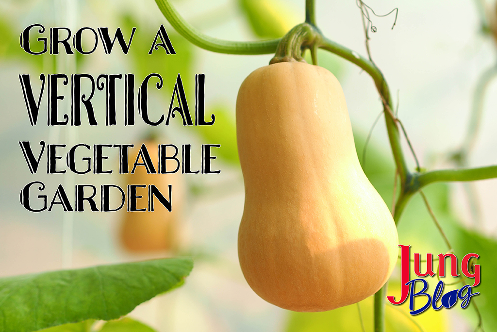 Grow a vertical vegetable garden blog