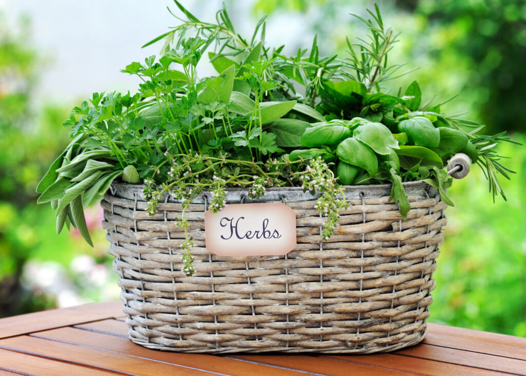 Whicker basket filled with herbs