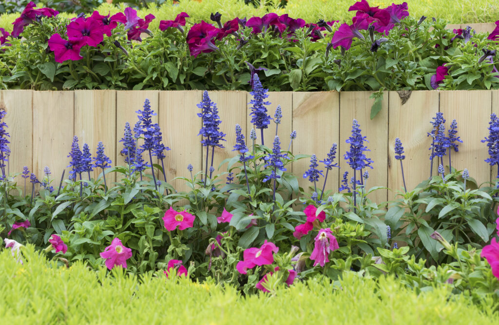 Wooden fence in flower garden