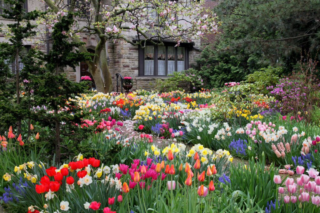 Front yard with a profusion of colorful blooms.