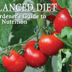 Balanced diet a gardener's guide to plant nutrition