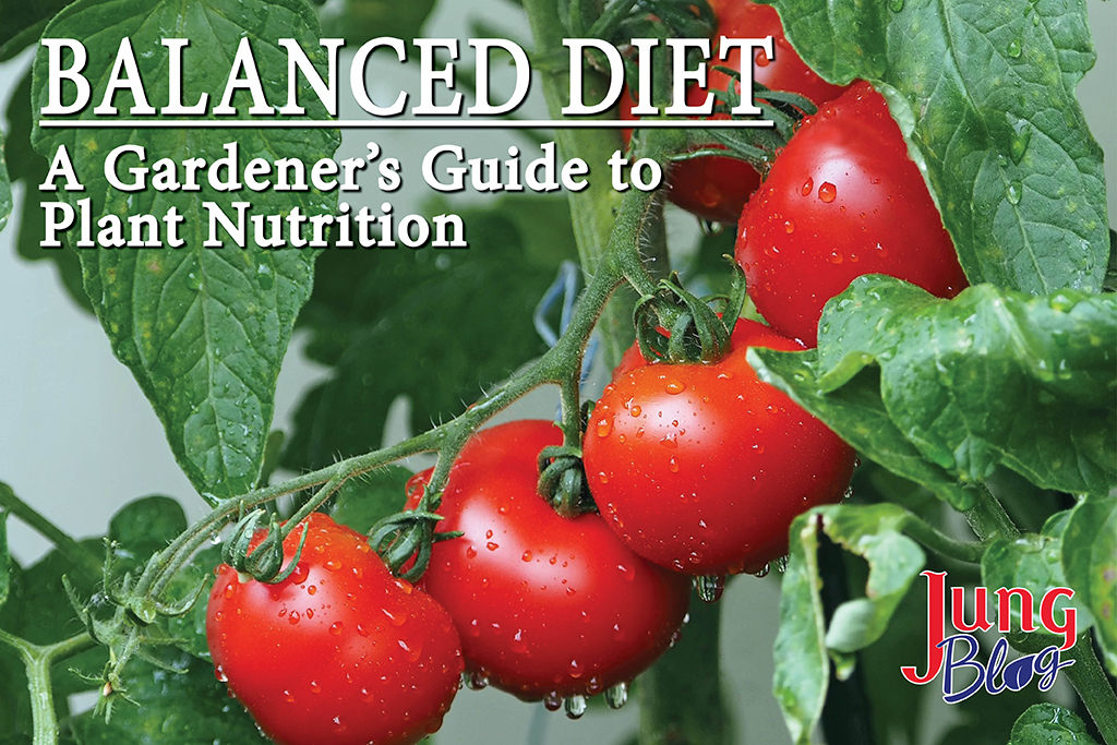 Balanced diet a gardener's guide to plant nutrition