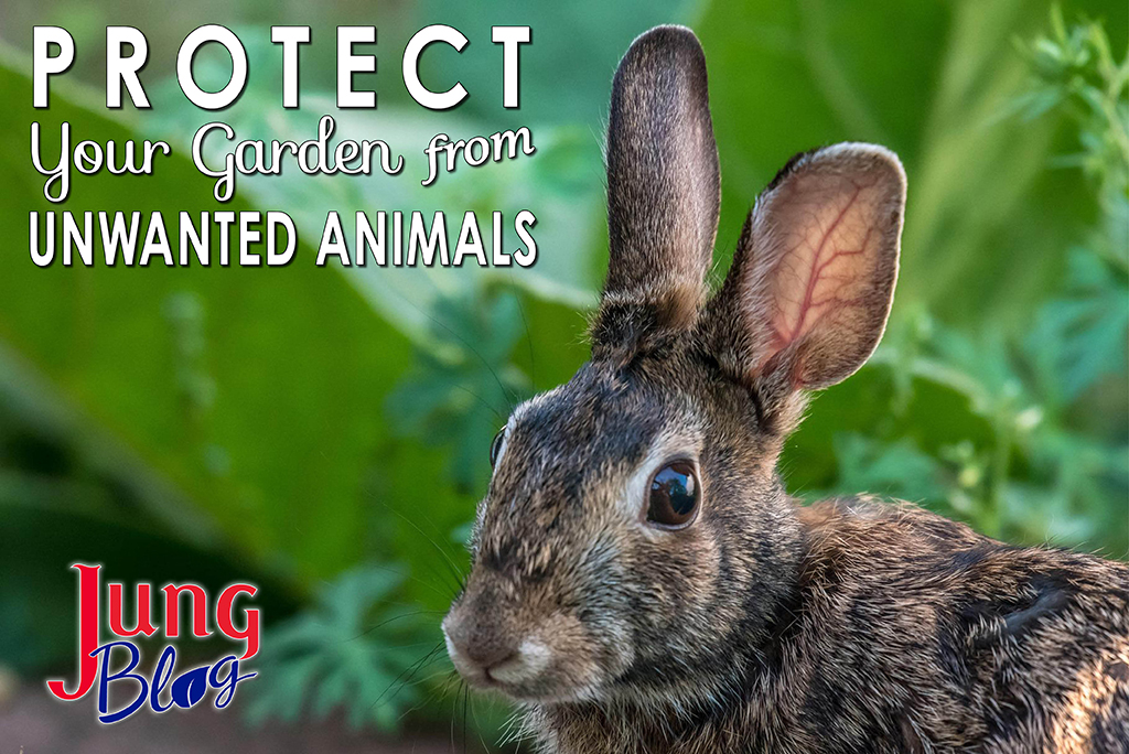Protect your garden from unwanted animals