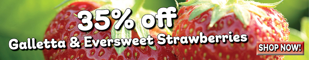 35% off strawberries