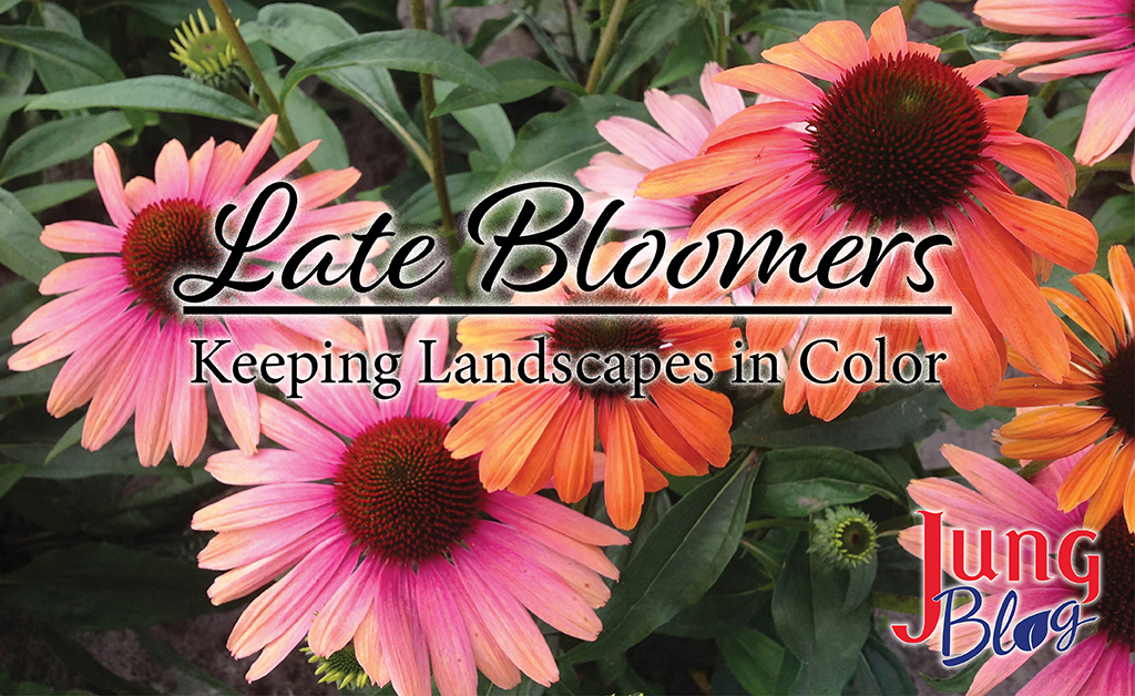 Late Bloomers Keeping Landscapes in color