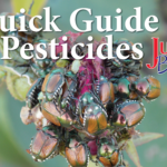 A Quick Guide To Pesticides