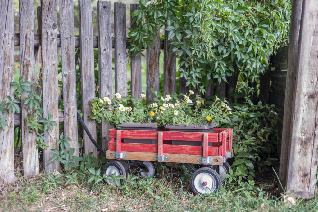 little antique wagon full of flowers in backyard