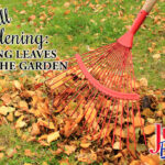 Fall Gardening Using Fall Leaves In The Garden