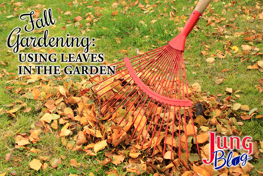 Fall Gardening: Using Fall Leaves In The Garden