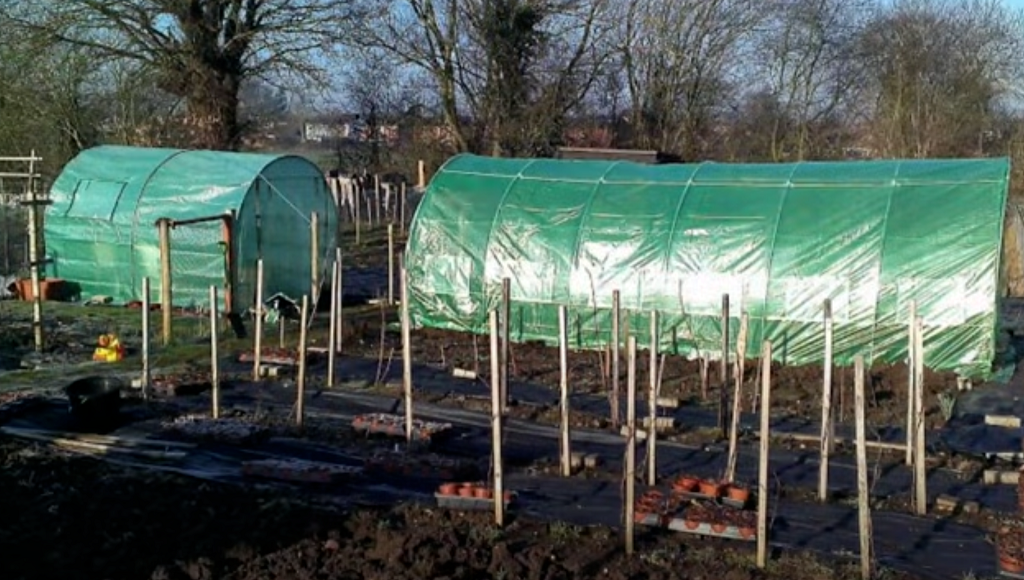 Hoop House