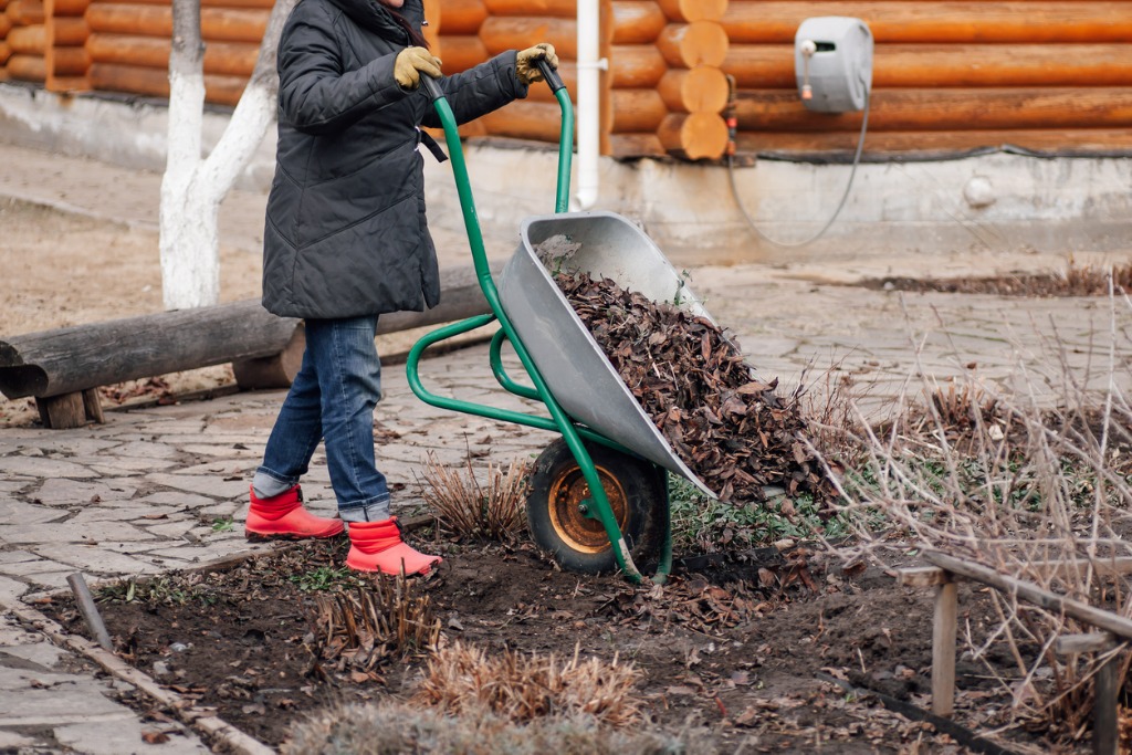 Mulched Leaves