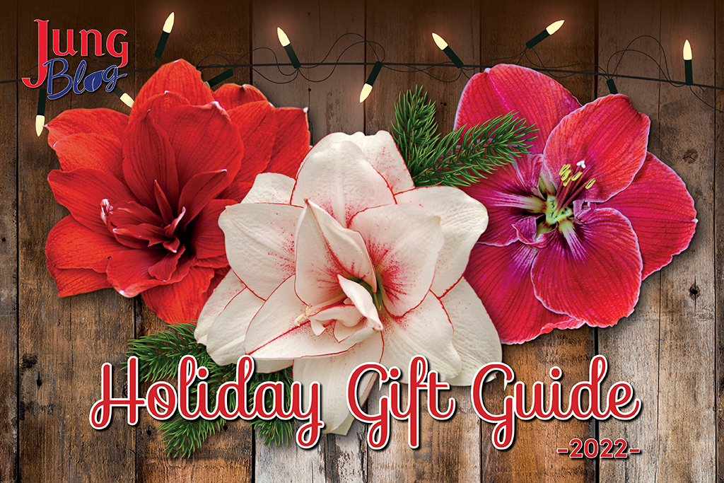 holiday gift guide 2022