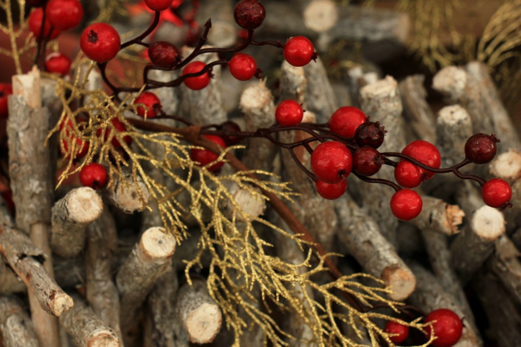 Dried Red Berries