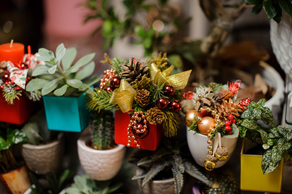 view on several bright pots with plants and decorative compositions of Christmas tree decorations and fir branches.