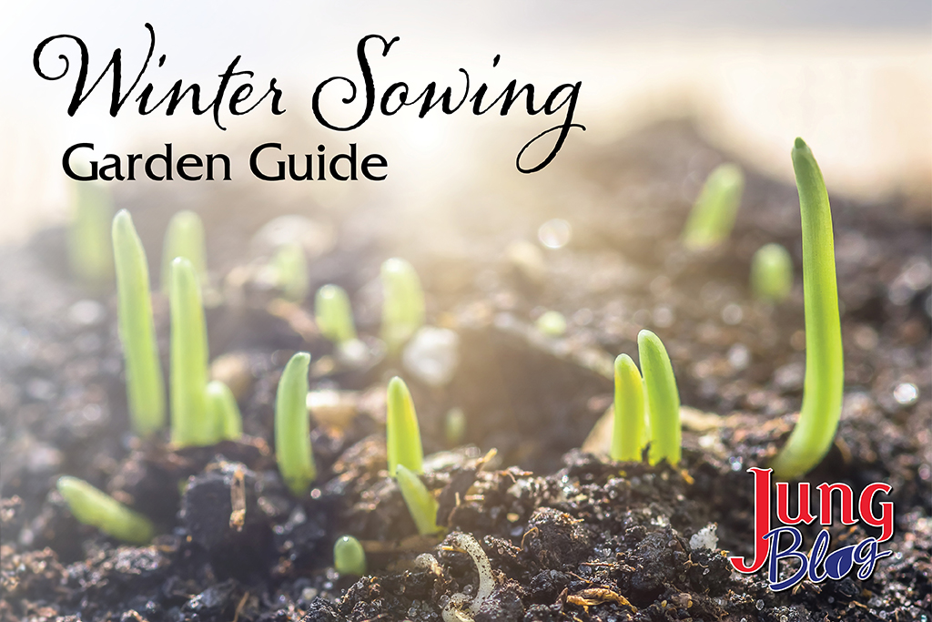 Winter Sowing Garden Guide