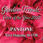 Color of the year 2023 PANTONE Viva Magenta 18-1750