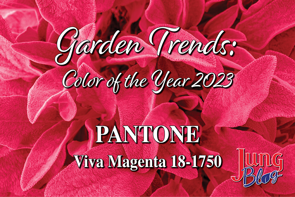Color of the year 2023 PANTONE Viva Magenta 18-1750