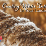 Creating Winter Landscape Blog Image