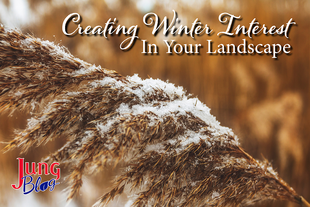 Creating Winter Interest In Your Landscapes