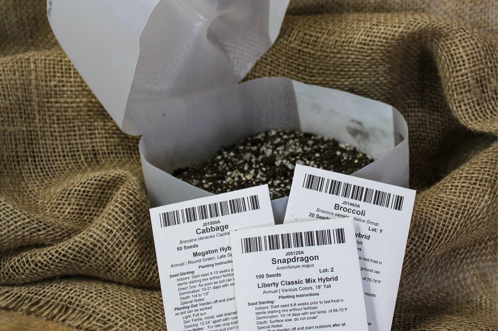 milk jug used for sowing seeds