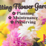 Cutting Flower Garden Blog Image