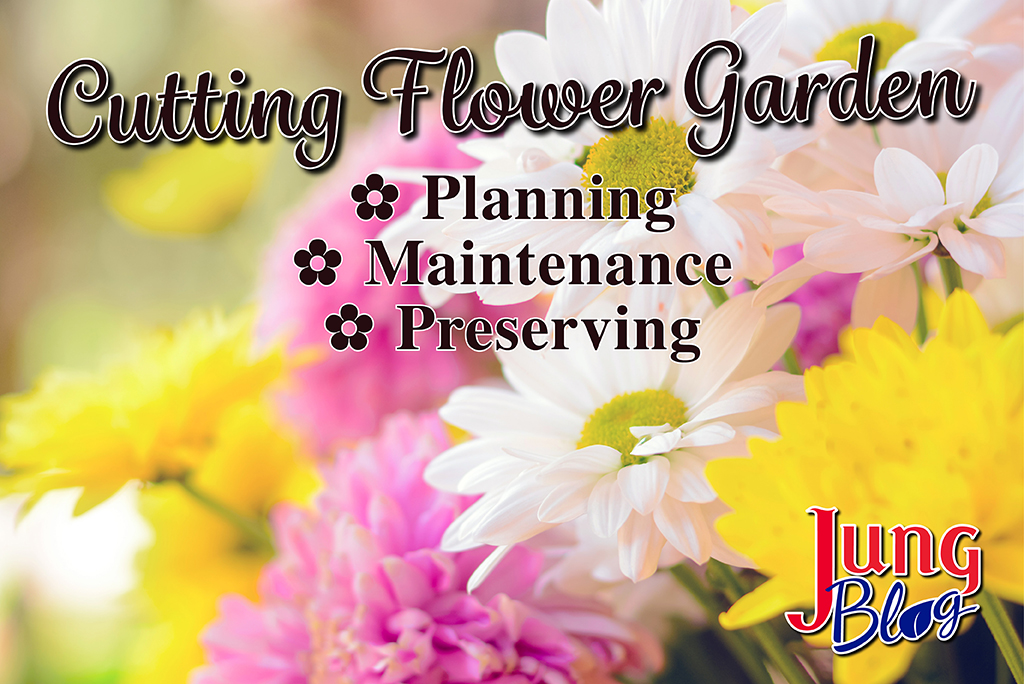 Cutting Flower Garden: Planning, Maintenance, & Preserving