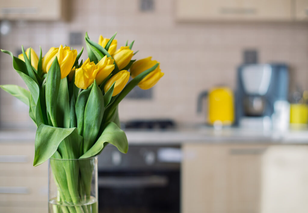 yellow tulips on kitchen counter