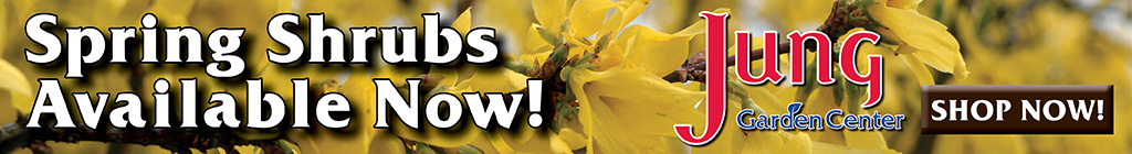 spring shrubs available now at jung garden centers