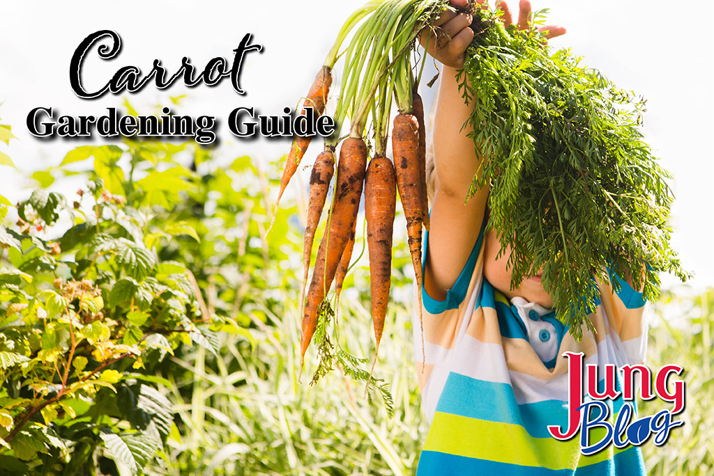 Carrot Gardening Guide Blog