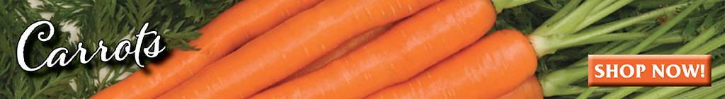 Carrots Ad