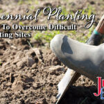 Perennial Planting: How To Overcome Difficult Planting Sites Blog