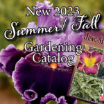 New 2023 Summer/Fall gardening catalog review