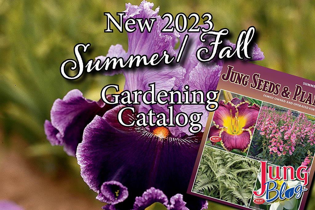 New 2023 Summer/Fall Garden Catalog Review