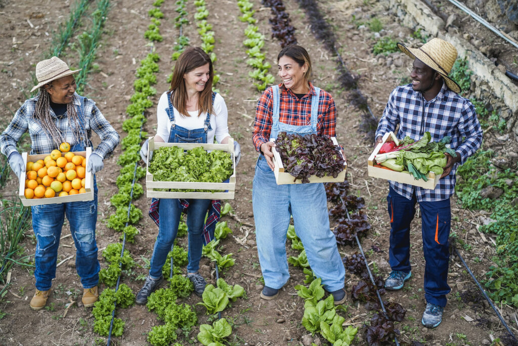 Multi generational farmer team holding wood boxes with fresh organic vegetables